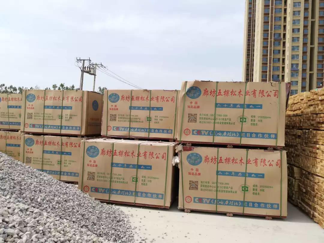 亚洲城yzc88集团助力沧州新地标---京贵大厦